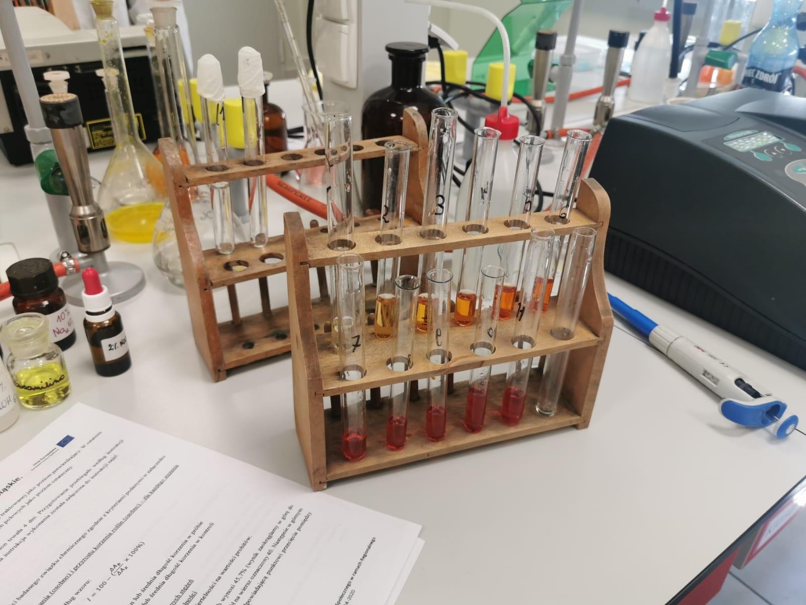 Zdjęcie w galerii na portalu naszraciborz.pl: Ekologia i mikrobiologia w CKZiU nr 1 Budowlanka - Gastronomik wiadomości z regionu