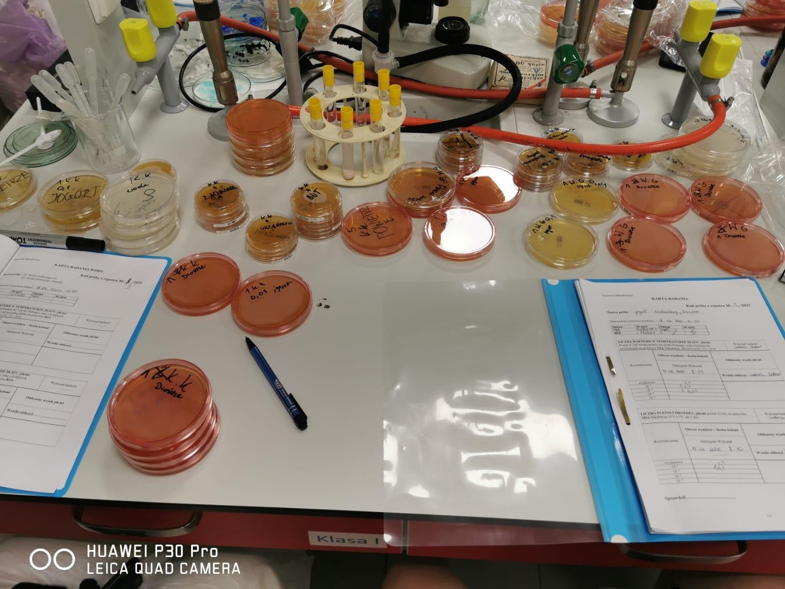 Zdjęcie w galerii na portalu naszraciborz.pl: Ekologia i mikrobiologia w CKZiU nr 1 Budowlanka - Gastronomik wiadomości z regionu