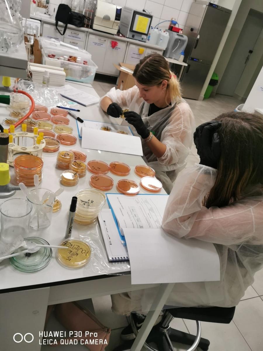 Zdjęcie w galerii na portalu naszraciborz.pl: Ekologia i mikrobiologia w CKZiU nr 1 Budowlanka - Gastronomik wiadomości z regionu