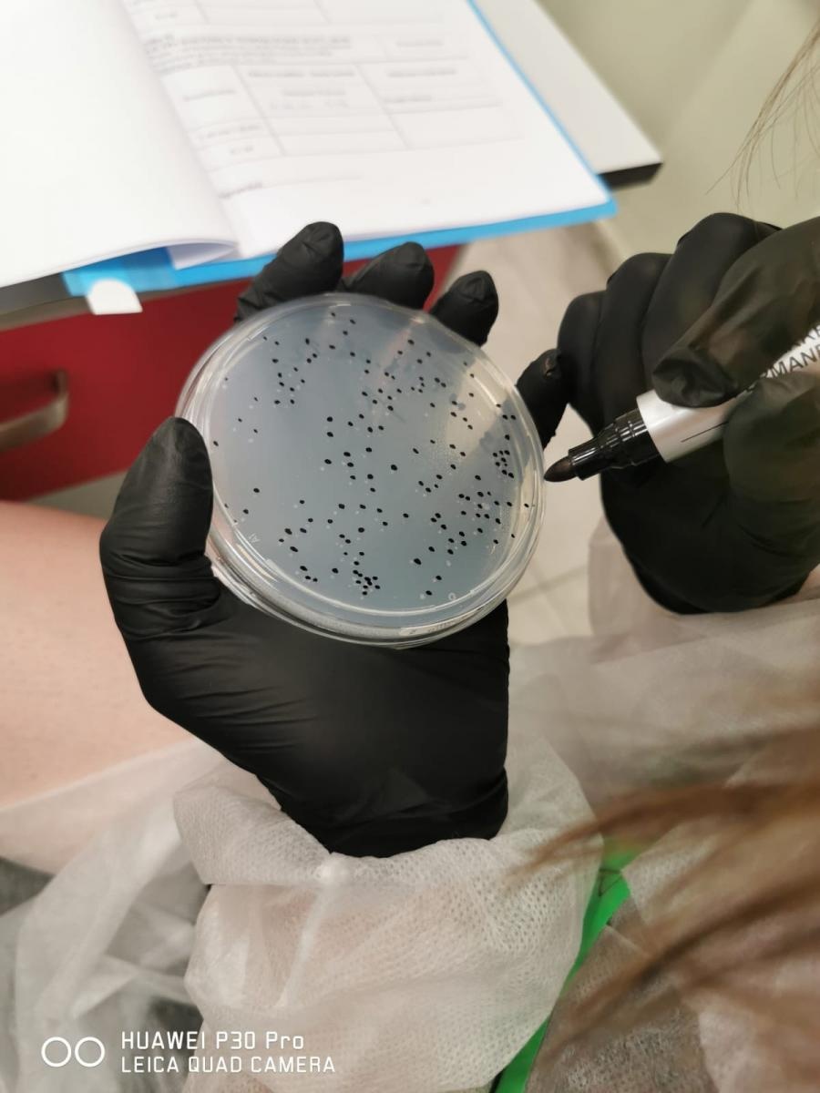 Zdjęcie w galerii na portalu naszraciborz.pl: Ekologia i mikrobiologia w CKZiU nr 1 Budowlanka - Gastronomik wiadomości z regionu