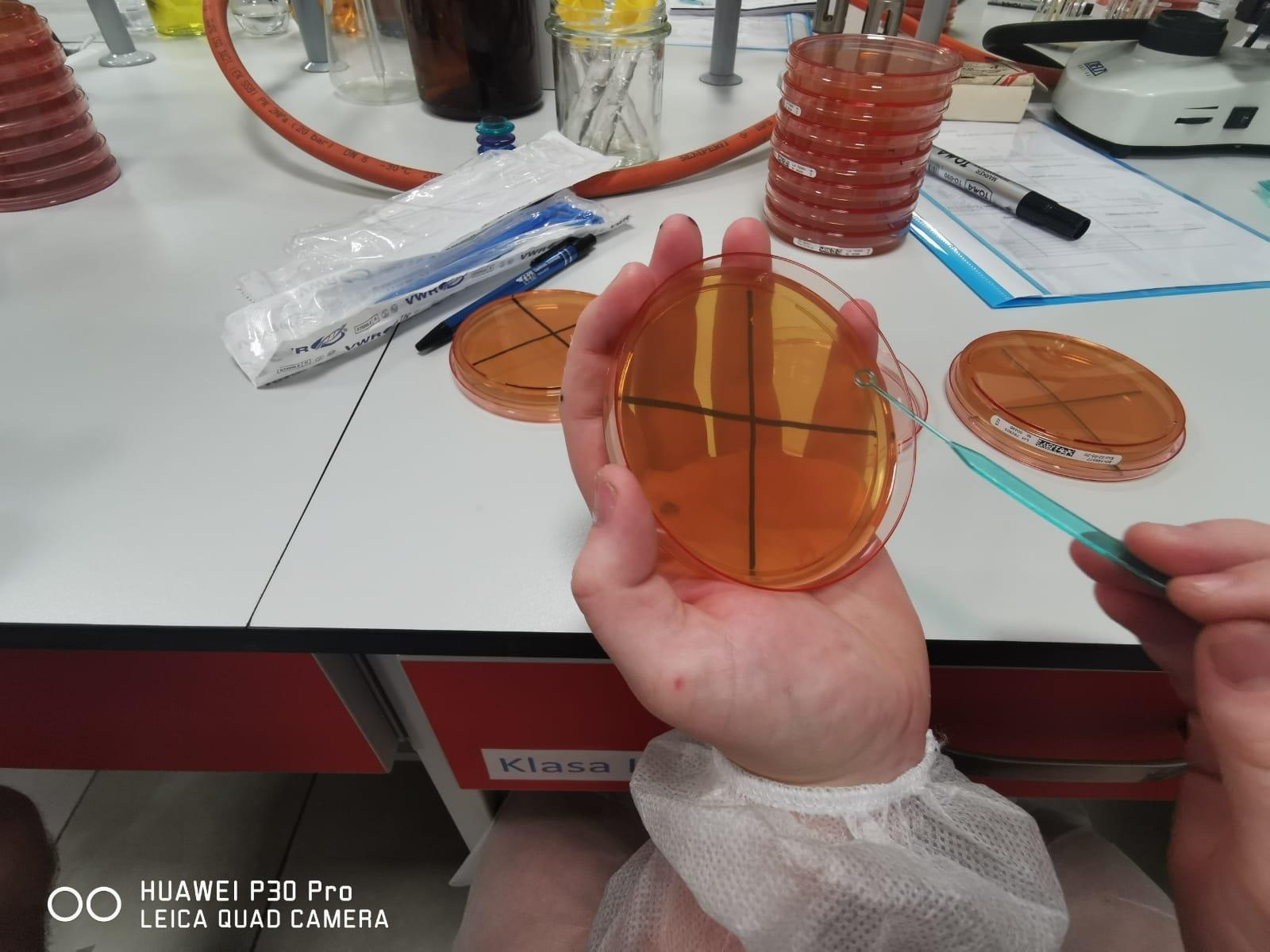 Zdjęcie w galerii na portalu naszraciborz.pl: Ekologia i mikrobiologia w CKZiU nr 1 Budowlanka - Gastronomik wiadomości z regionu