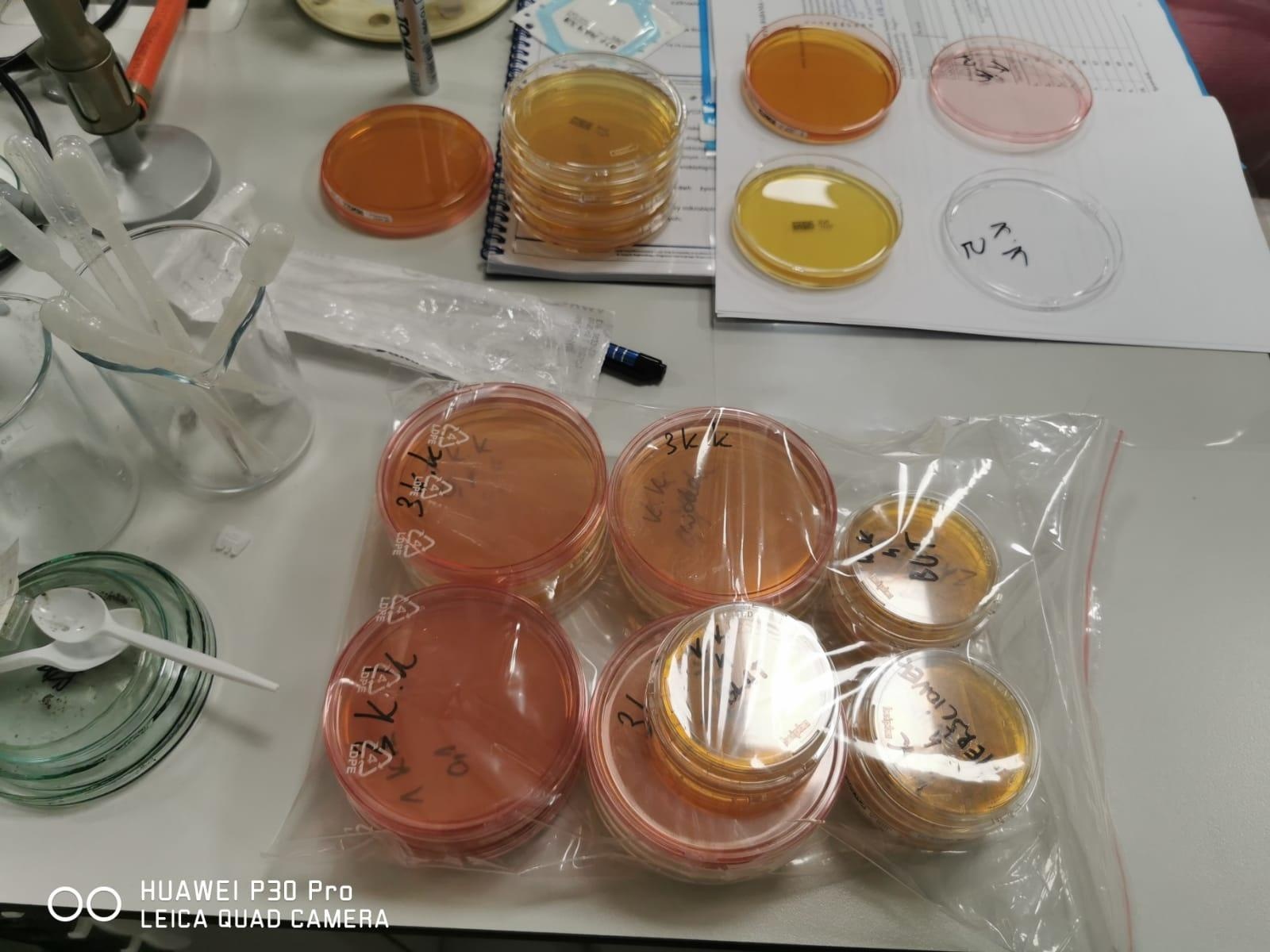 Zdjęcie w galerii na portalu naszraciborz.pl: Ekologia i mikrobiologia w CKZiU nr 1 Budowlanka - Gastronomik wiadomości z regionu