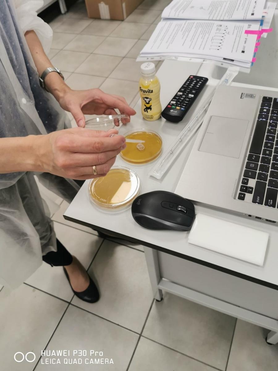 Zdjęcie w galerii na portalu naszraciborz.pl: Ekologia i mikrobiologia w CKZiU nr 1 Budowlanka - Gastronomik wiadomości z regionu