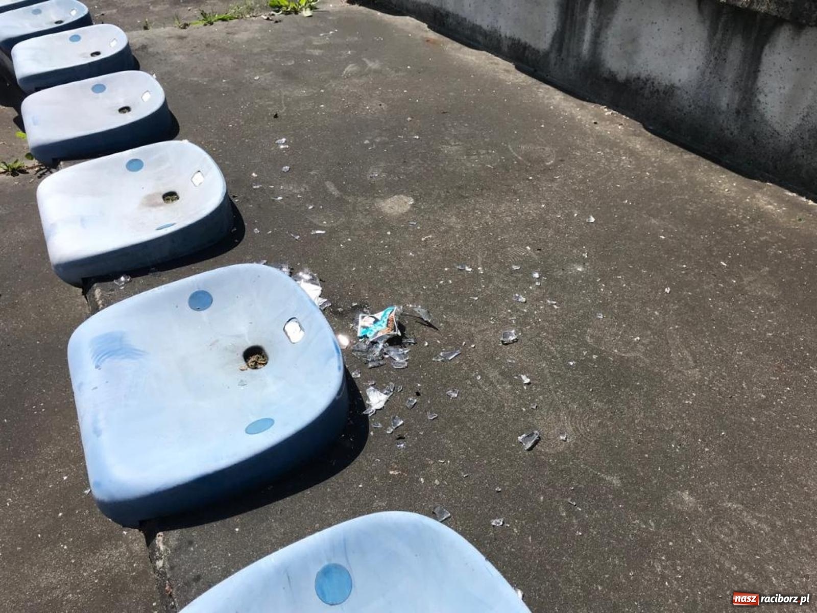 Zdjęcie w galerii na portalu naszraciborz.pl: Obiekt przy Zamkowej. Stadion, szalet czy śmietnik miejski? wiadomości z regionu