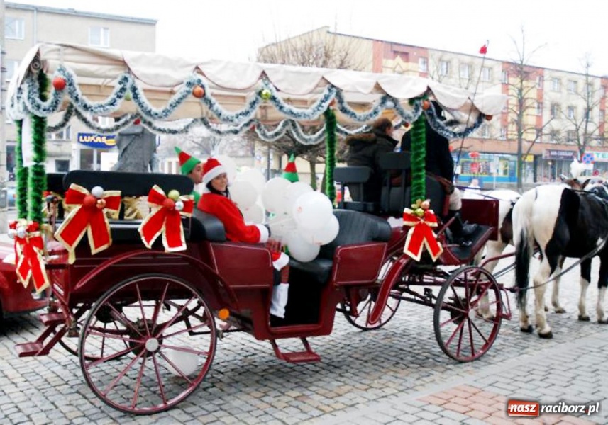 Zdjęcie w galerii na portalu naszraciborz.pl: Renifery zadomowią się w Raciborzu wiadomości z regionu