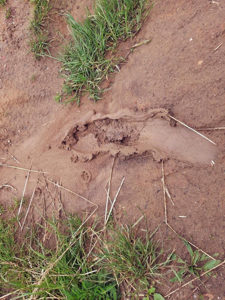 Zdjęcie w galerii na portalu naszraciborz.pl: List do redakcji. Oto ulica, na której mieszka prezydent wiadomości z regionu