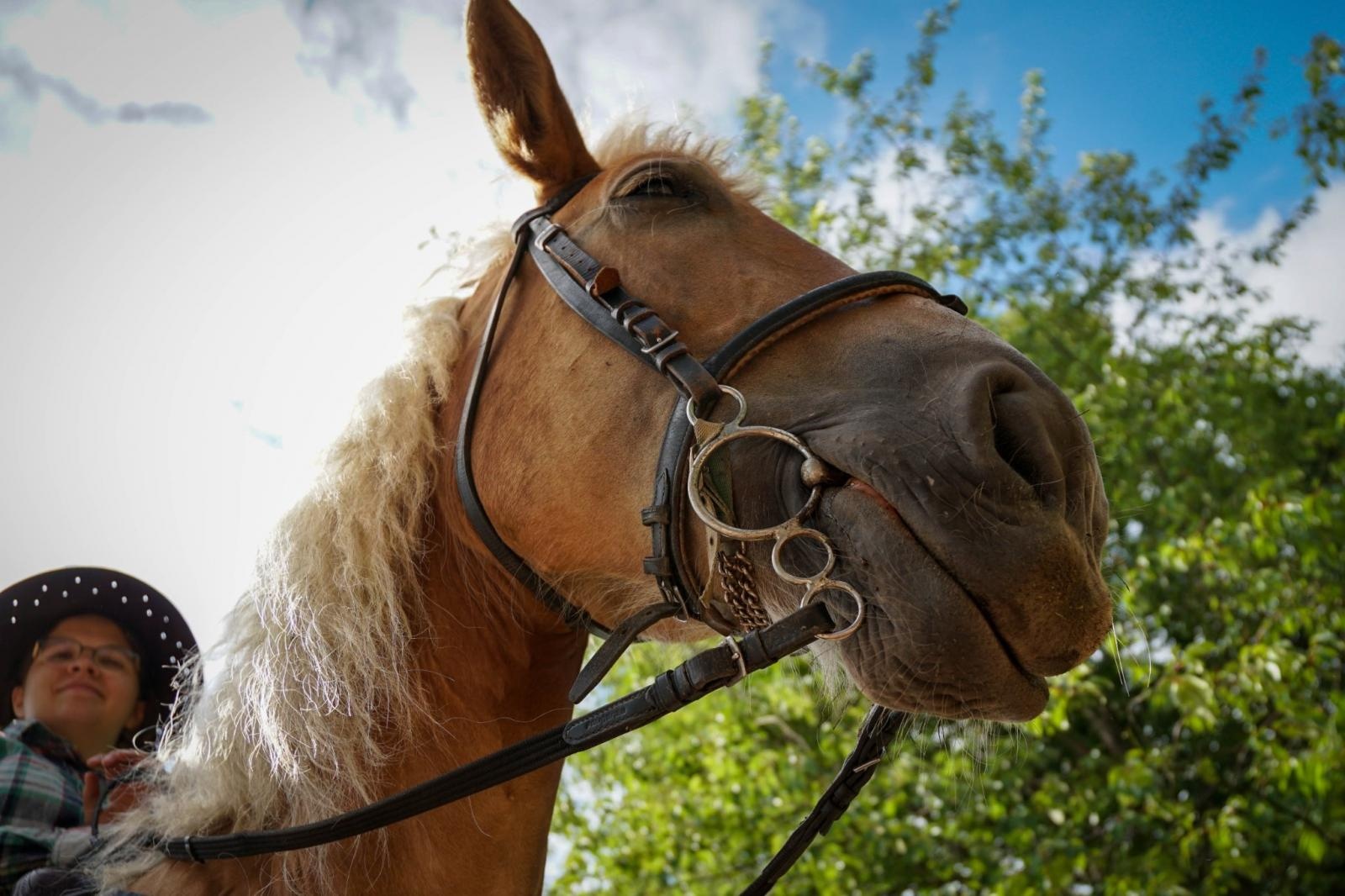 Zdjęcie w galerii na portalu naszraciborz.pl: IV Senioralia w westernowym klimacie [FOTO i WIDEO] wiadomości z regionu