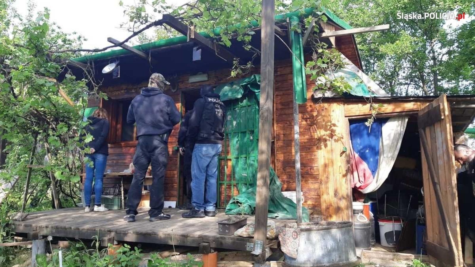 Zdjęcie w galerii na portalu naszraciborz.pl: Śląska policja pomogła rozbić słowacką szajkę producentów narkotyków wiadomości z regionu