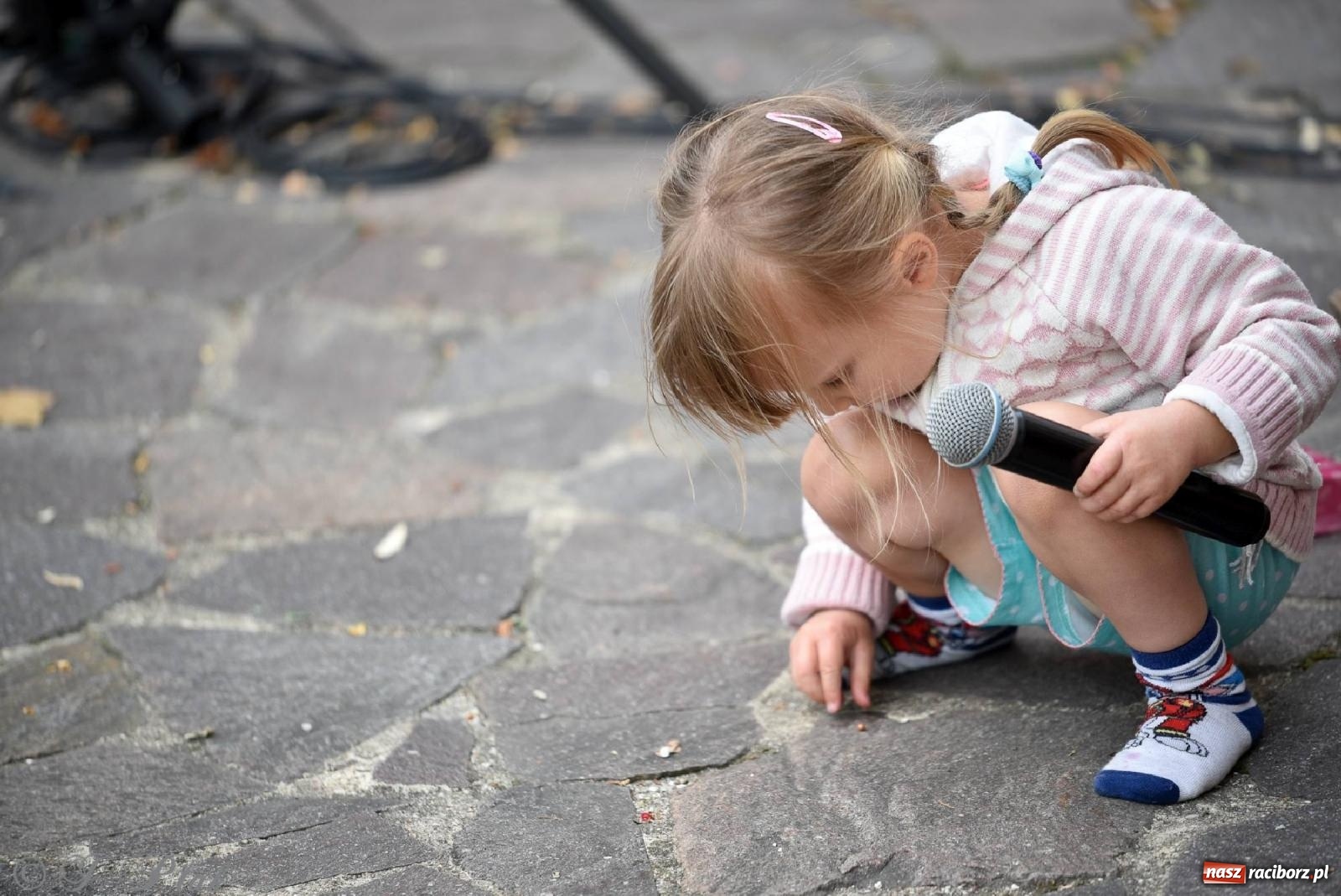 Zdjęcie w galerii na portalu naszraciborz.pl: Wokaliści Czwartej Ściany w koncercie na zamku wiadomości z regionu