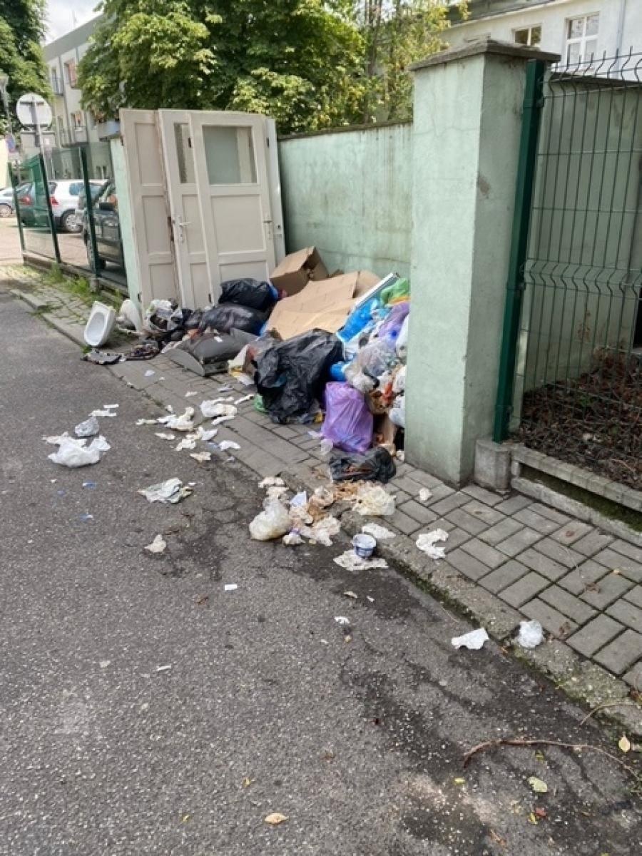 Zdjęcie w galerii na portalu naszraciborz.pl: Taki obrazek w sercu Raciborza [FOTO] wiadomości z regionu