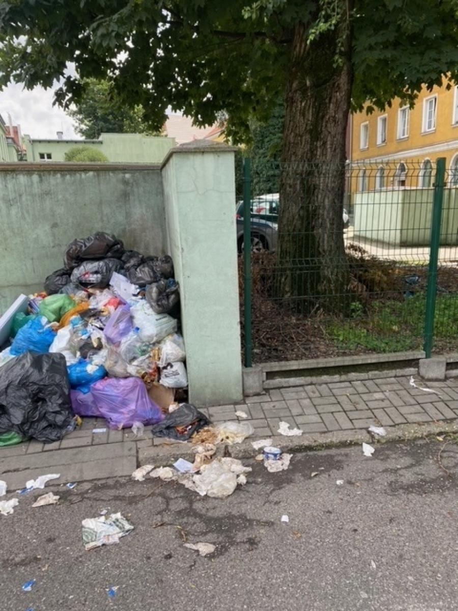 Zdjęcie w galerii na portalu naszraciborz.pl: Taki obrazek w sercu Raciborza [FOTO] wiadomości z regionu