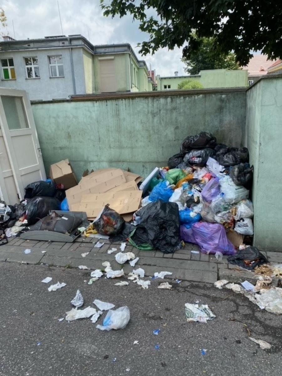 Zdjęcie w galerii na portalu naszraciborz.pl: Taki obrazek w sercu Raciborza [FOTO] wiadomości z regionu