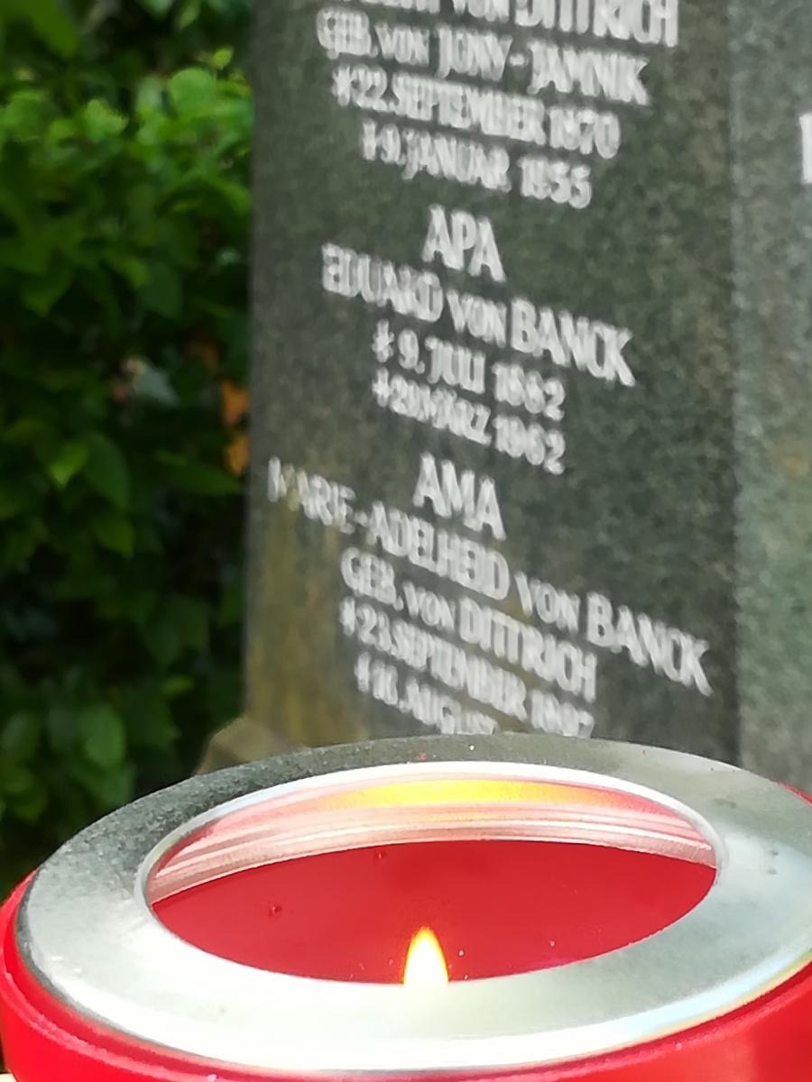 Zdjęcie w galerii na portalu naszraciborz.pl: Powojenne losy rodziny von Banck, panów na Wojnowicach wiadomości z regionu