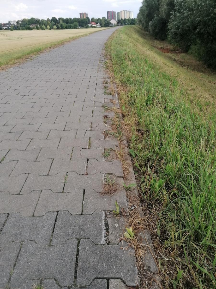 Zdjęcie w galerii na portalu naszraciborz.pl: Chuligani wybrali się na spacer po bulwarach. Uszkodzona ścieżka na wałach [FOTO] wiadomości z regionu