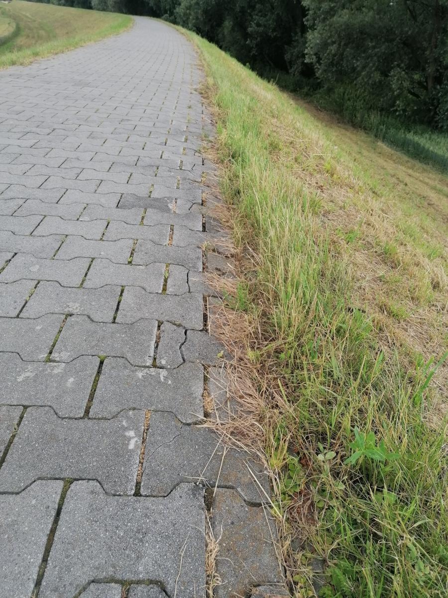 Zdjęcie w galerii na portalu naszraciborz.pl: Chuligani wybrali się na spacer po bulwarach. Uszkodzona ścieżka na wałach [FOTO] wiadomości z regionu