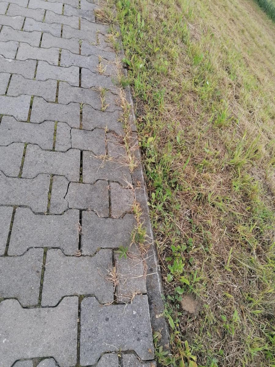 Zdjęcie w galerii na portalu naszraciborz.pl: Chuligani wybrali się na spacer po bulwarach. Uszkodzona ścieżka na wałach [FOTO] wiadomości z regionu