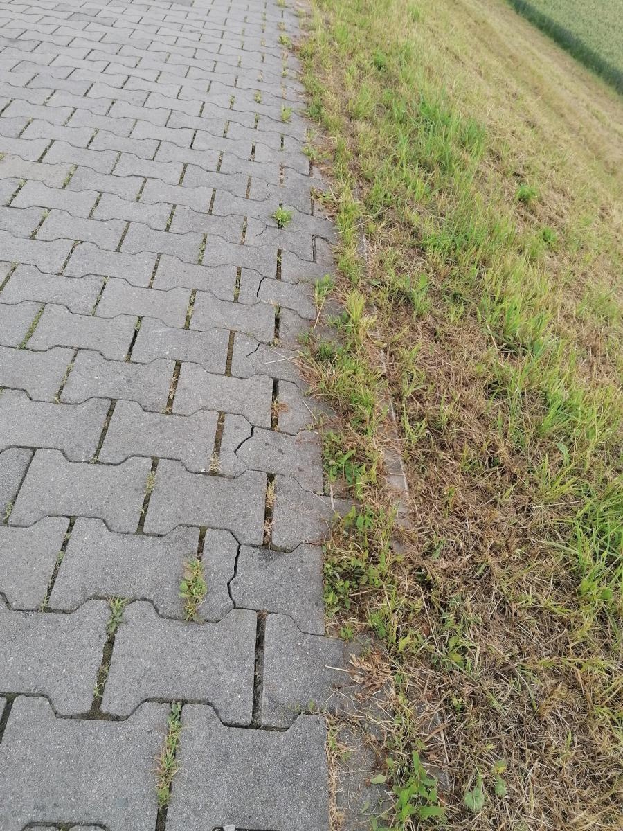 Zdjęcie w galerii na portalu naszraciborz.pl: Chuligani wybrali się na spacer po bulwarach. Uszkodzona ścieżka na wałach [FOTO] wiadomości z regionu