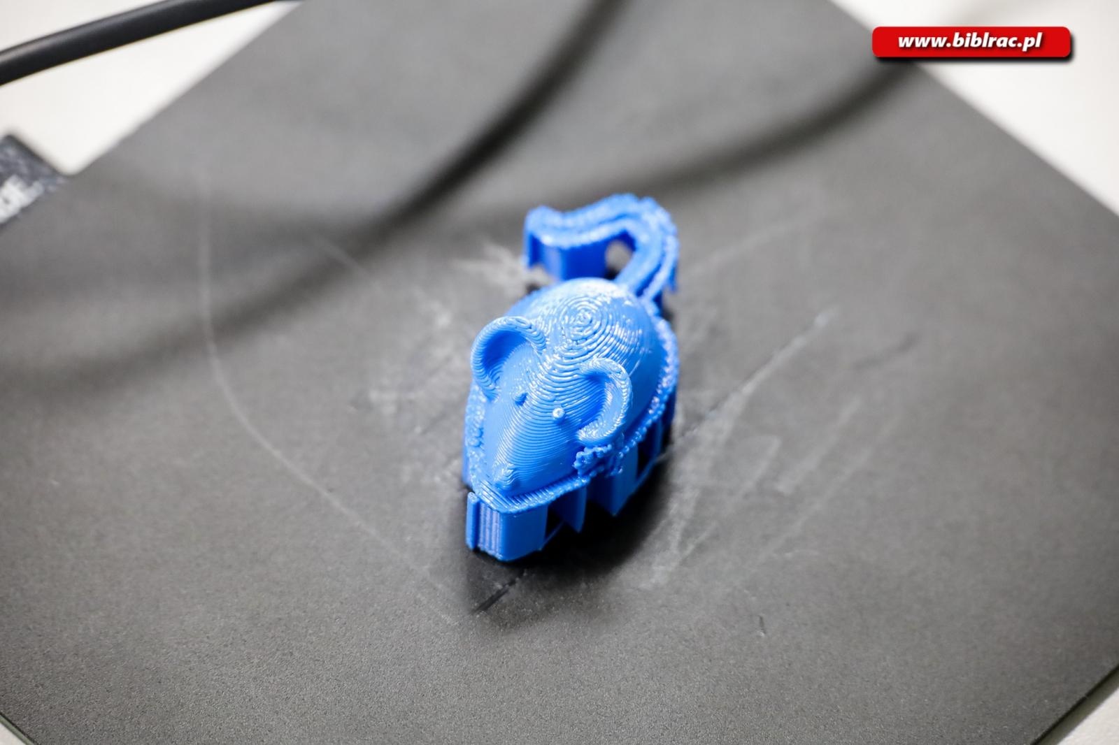 Zdjęcie w galerii na portalu naszraciborz.pl: Warsztaty druku 3D rozpoczęły biblioteczne Wakacje w powiecie wiadomości z regionu