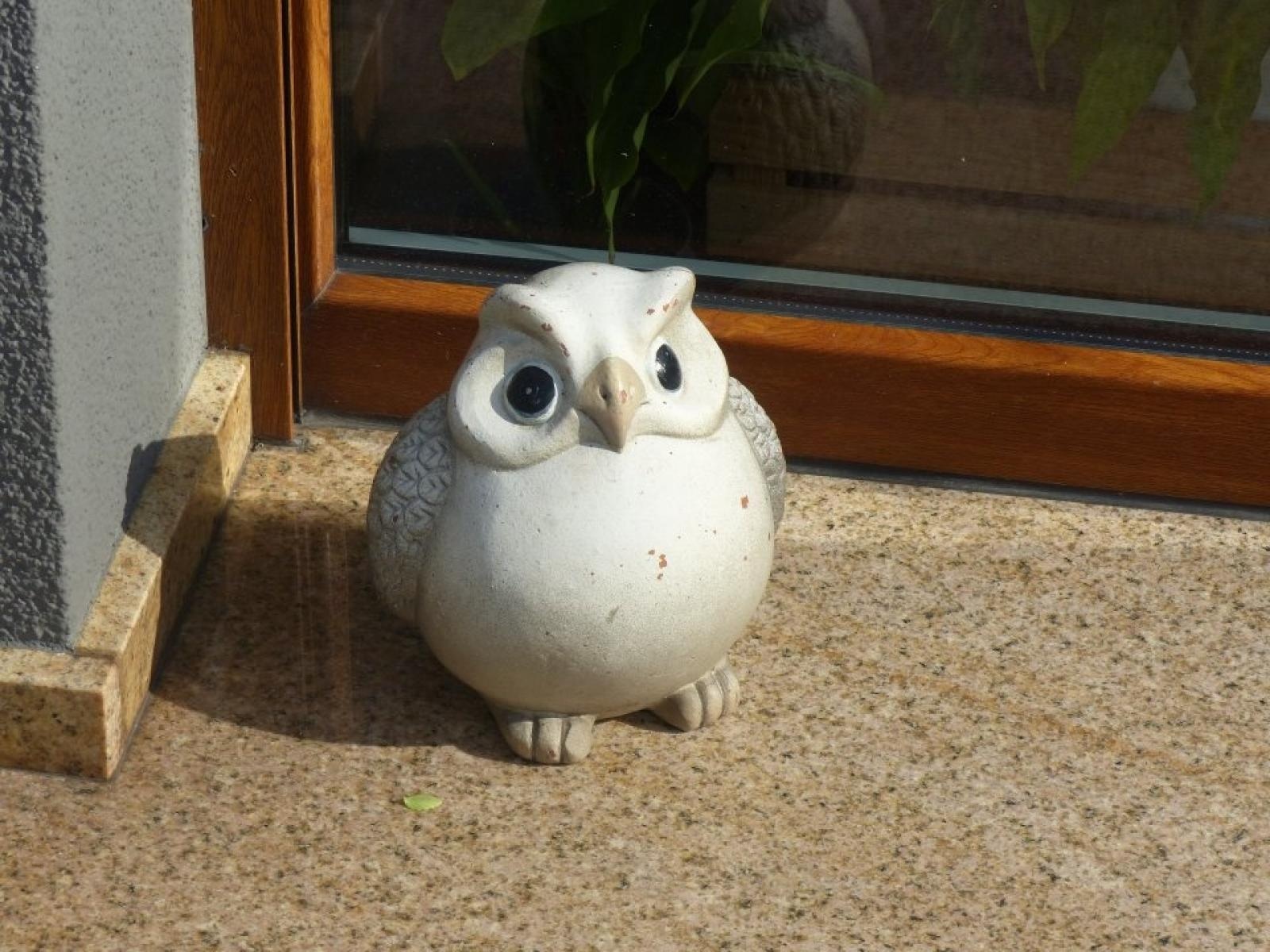 Zdjęcie w galerii na portalu naszraciborz.pl: Najładniejsze ogrody sołectwa Moravia w Krzanowicach w TVP wiadomości z regionu