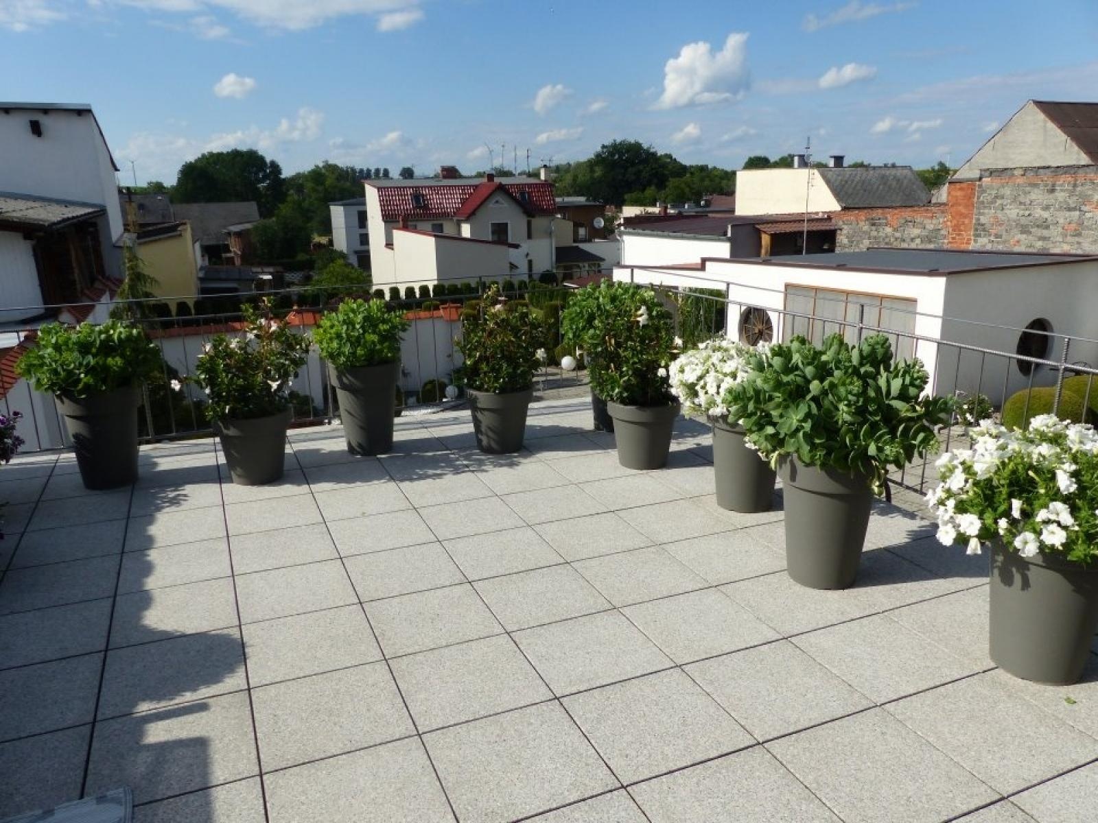 Zdjęcie w galerii na portalu naszraciborz.pl: Najładniejsze ogrody sołectwa Moravia w Krzanowicach w TVP wiadomości z regionu