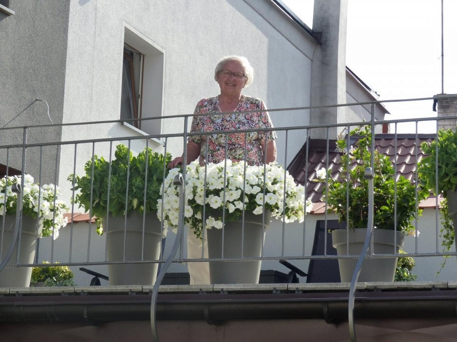 Zdjęcie w galerii na portalu naszraciborz.pl: Najładniejsze ogrody sołectwa Moravia w Krzanowicach w TVP wiadomości z regionu