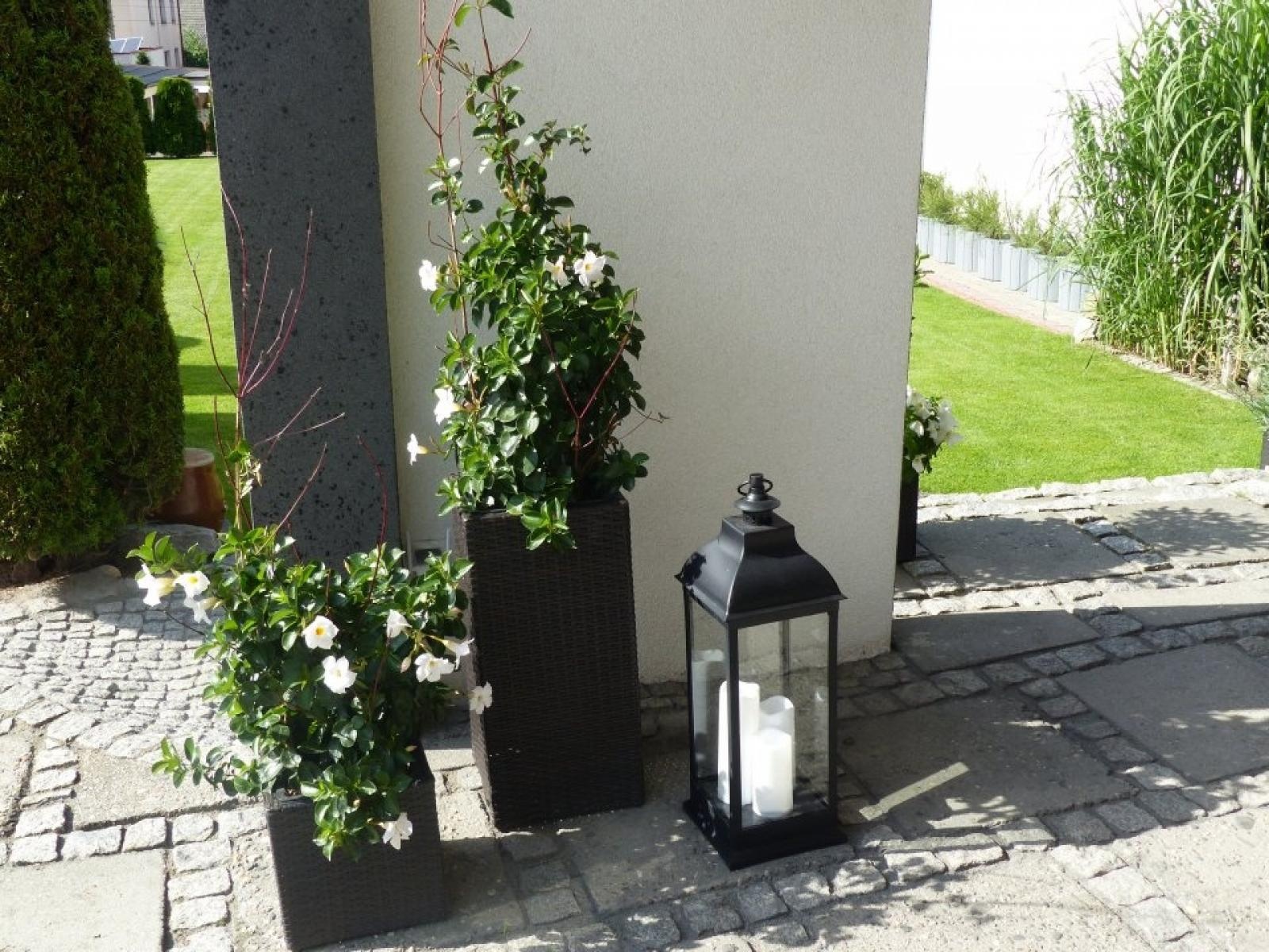 Zdjęcie w galerii na portalu naszraciborz.pl: Najładniejsze ogrody sołectwa Moravia w Krzanowicach w TVP wiadomości z regionu