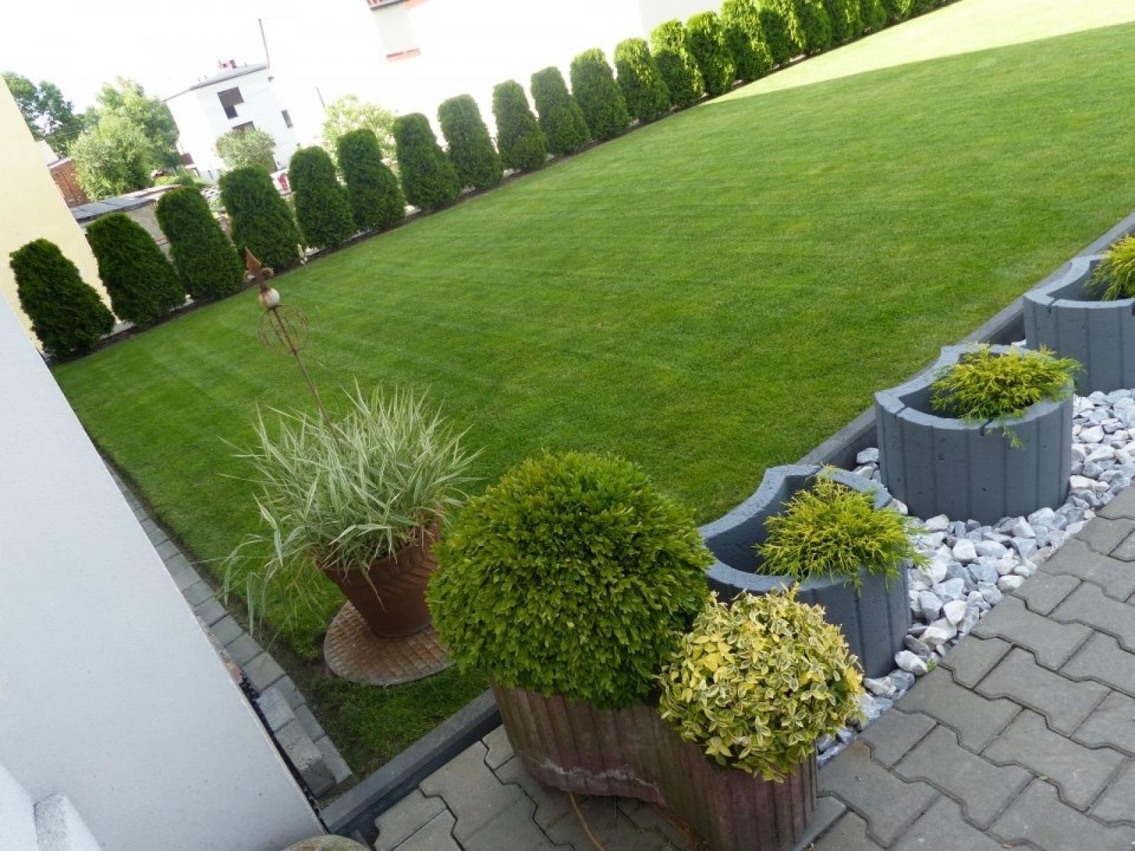 Zdjęcie w galerii na portalu naszraciborz.pl: Najładniejsze ogrody sołectwa Moravia w Krzanowicach w TVP wiadomości z regionu