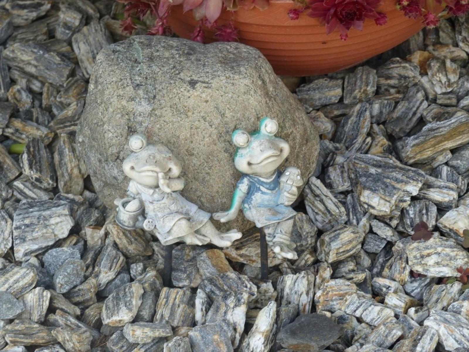 Zdjęcie w galerii na portalu naszraciborz.pl: Najładniejsze ogrody sołectwa Moravia w Krzanowicach w TVP wiadomości z regionu