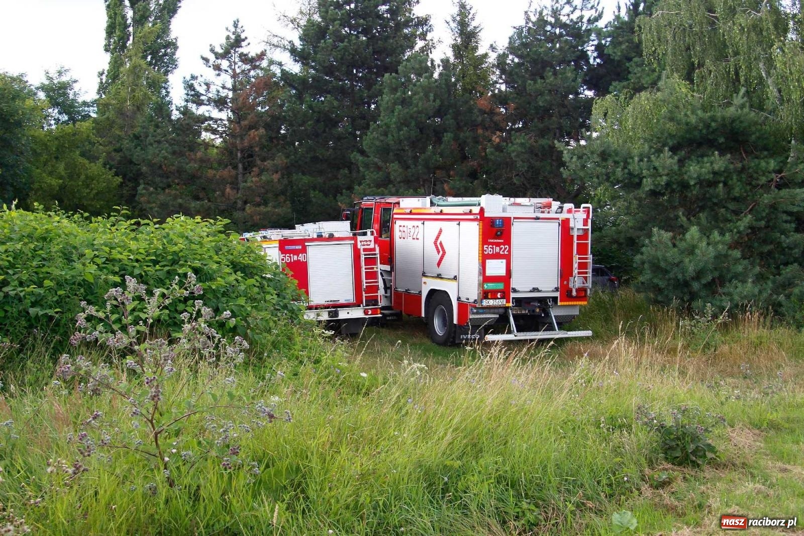 Zdjęcie w galerii na portalu naszraciborz.pl: Czwarta ofiara żwirowni w tym roku. Strażacy szukają ciała 39-latka [FOTO] wiadomości z regionu