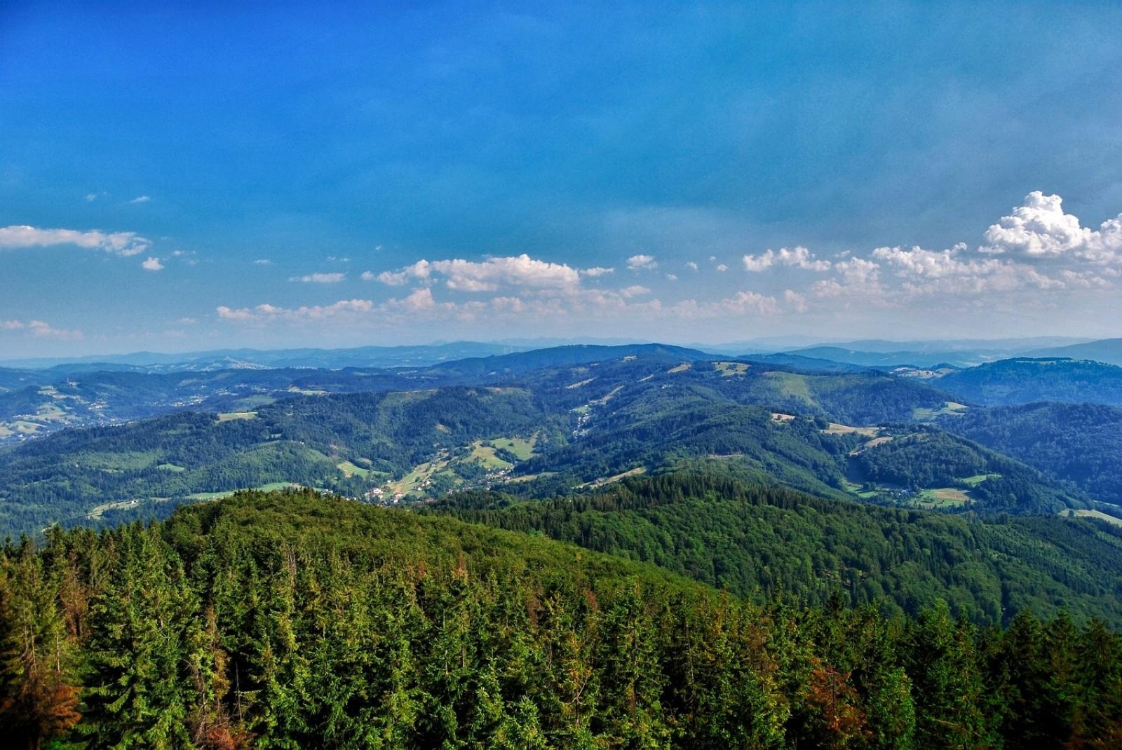 Zdjęcie w galerii na portalu naszraciborz.pl: Orinoko zaprasza na „Półkolonie dla młodych podróżników”! wiadomości z regionu