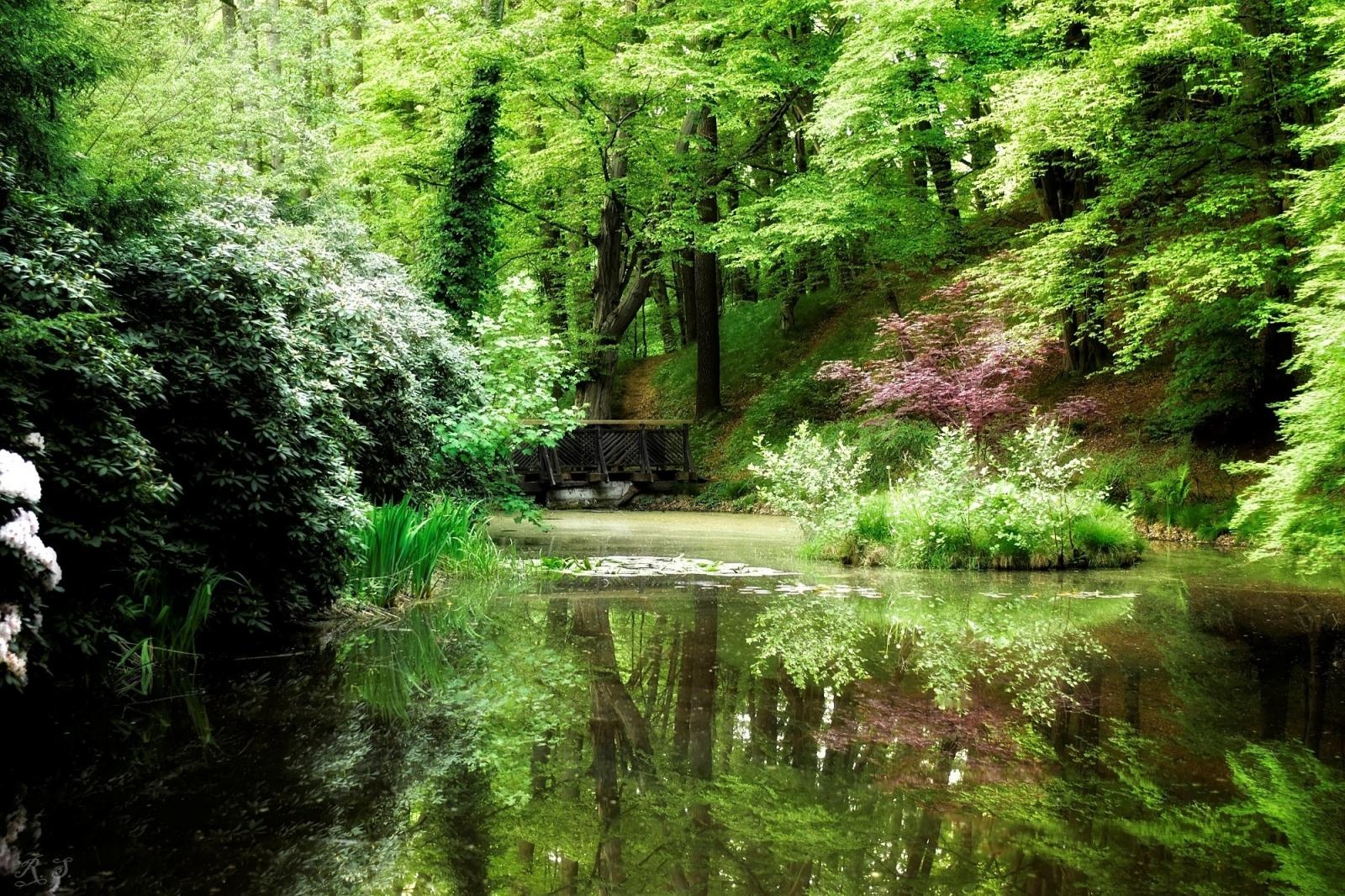 Zdjęcie w galerii na portalu naszraciborz.pl: Orinoko zaprasza na „Półkolonie dla młodych podróżników”! wiadomości z regionu