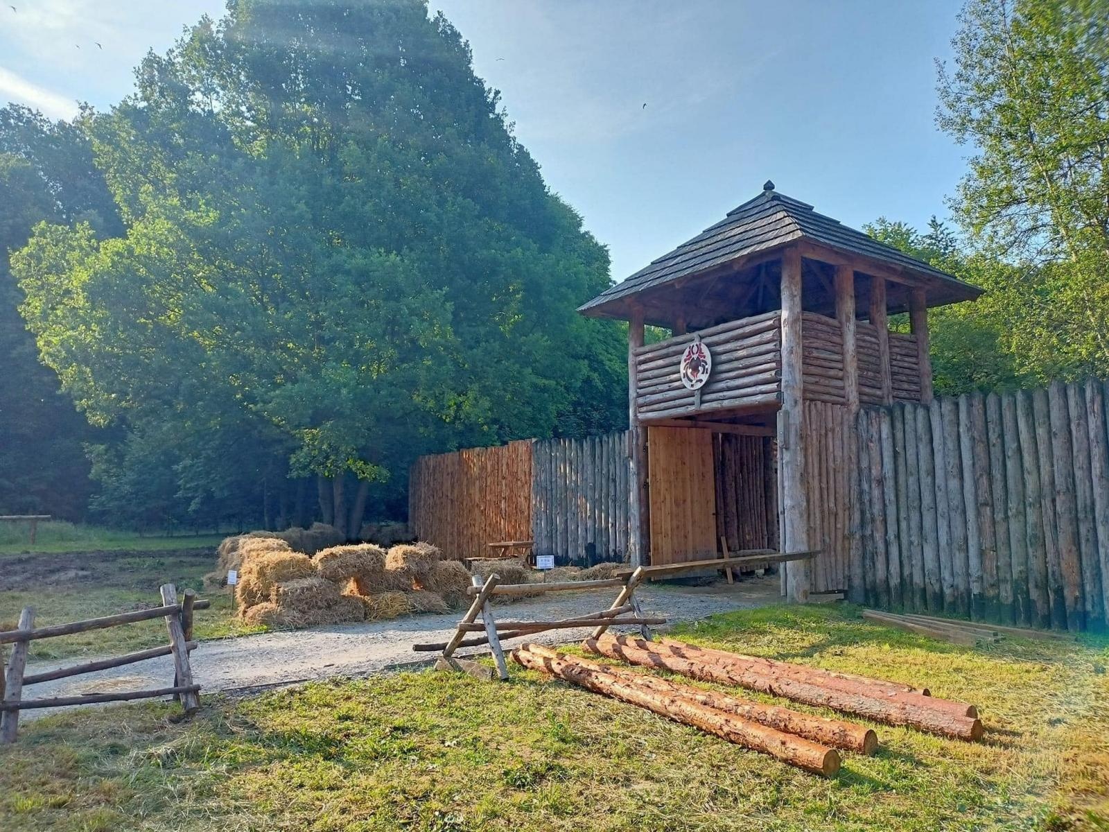 Zdjęcie w galerii na portalu naszraciborz.pl: Orinoko zaprasza na „Półkolonie dla młodych podróżników”! wiadomości z regionu