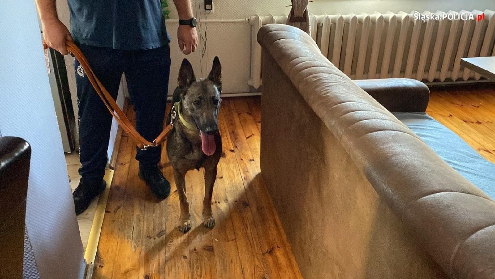 Zdjęcie w galerii na portalu naszraciborz.pl: Gang pseudokibiców przemycał ludzi [FOTO i WIDEO] wiadomości z regionu