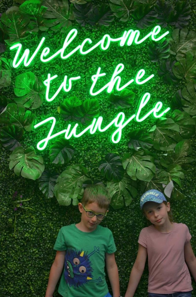 Zdjęcie w galerii na portalu naszraciborz.pl: Fascynująca podróż małych raciborzan w świat kolorów [FOTO] wiadomości z regionu