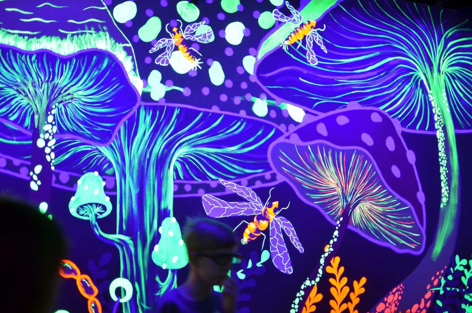 Zdjęcie w galerii na portalu naszraciborz.pl: Fascynująca podróż małych raciborzan w świat kolorów [FOTO] wiadomości z regionu