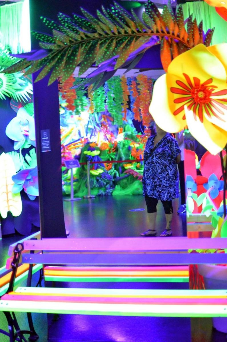 Zdjęcie w galerii na portalu naszraciborz.pl: Fascynująca podróż małych raciborzan w świat kolorów [FOTO] wiadomości z regionu