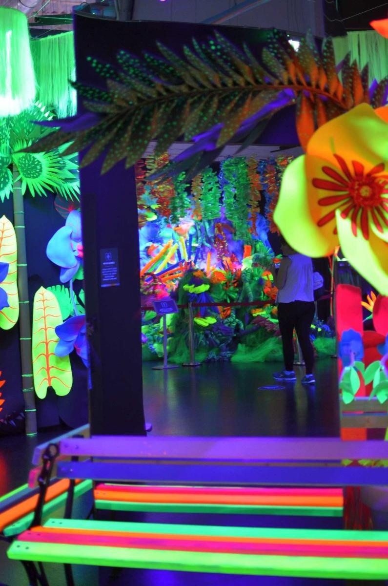 Zdjęcie w galerii na portalu naszraciborz.pl: Fascynująca podróż małych raciborzan w świat kolorów [FOTO] wiadomości z regionu