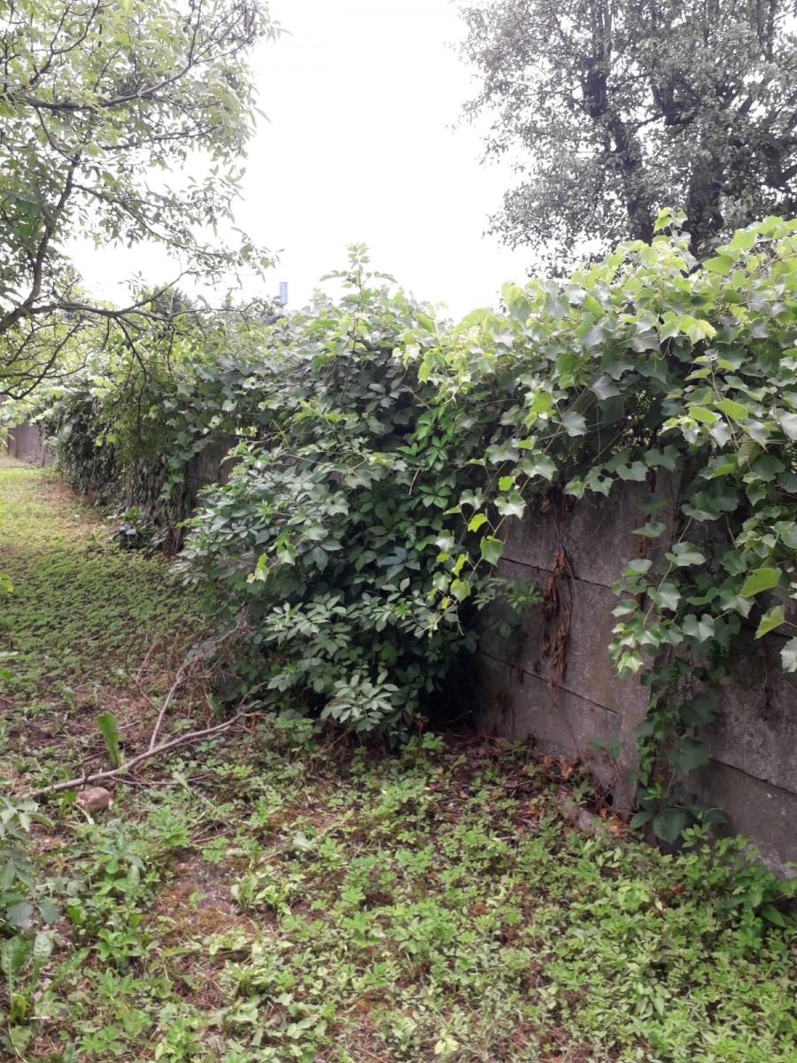 Zdjęcie w galerii na portalu naszraciborz.pl: Miasto zainwestuje w stadion Unii Racibórz przy Srebrnej wiadomości z regionu