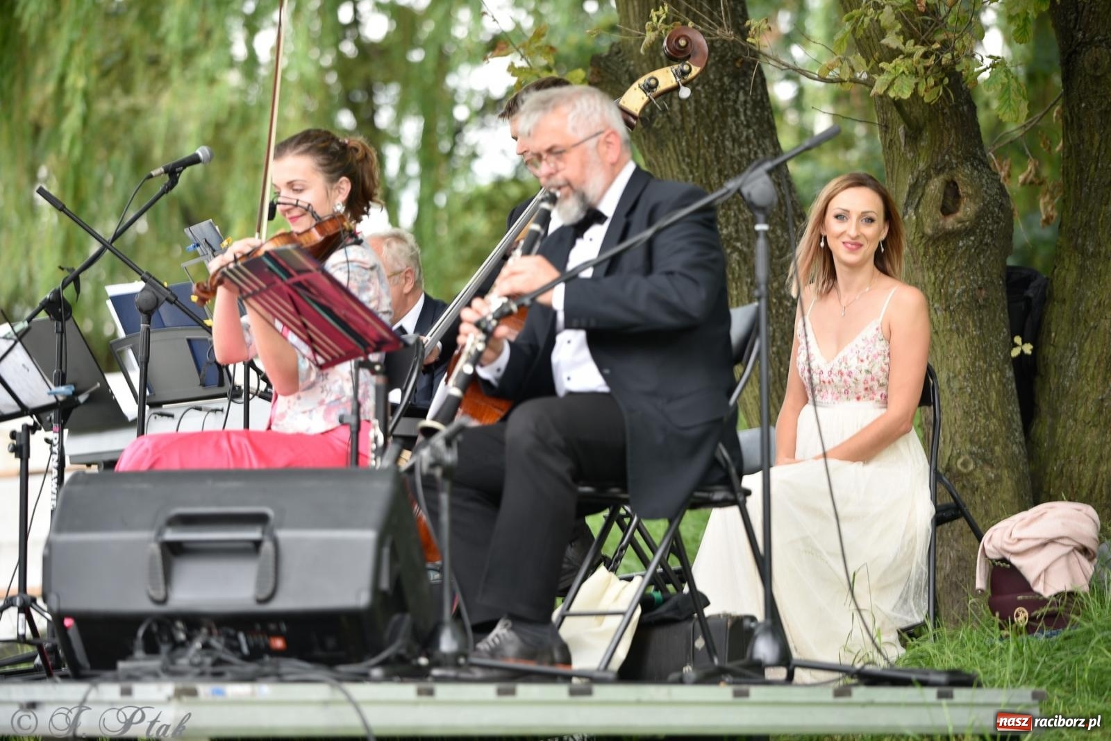 Zdjęcie w galerii na portalu naszraciborz.pl: Od foxtrota do musicalu - letni koncert na bulwarach wiadomości z regionu