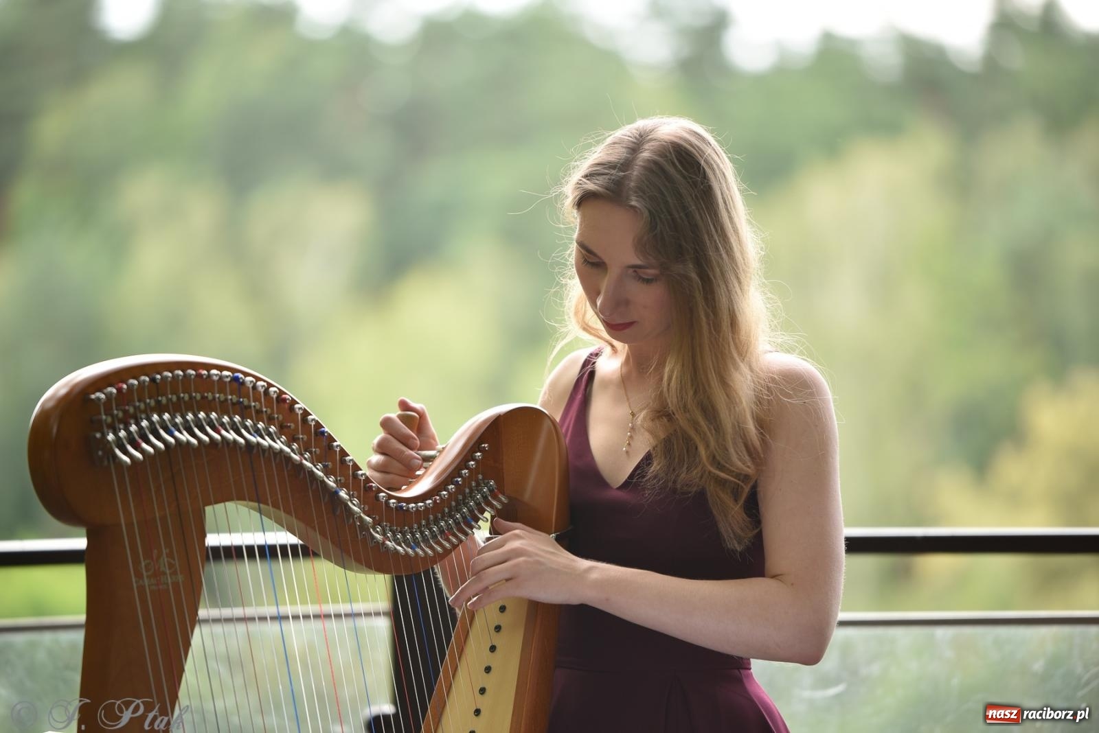Zdjęcie w galerii na portalu naszraciborz.pl: Justyna Sasnal zaczarowała słuchaczy muzyką na harfie [FOTO i WIDEO] wiadomości z regionu