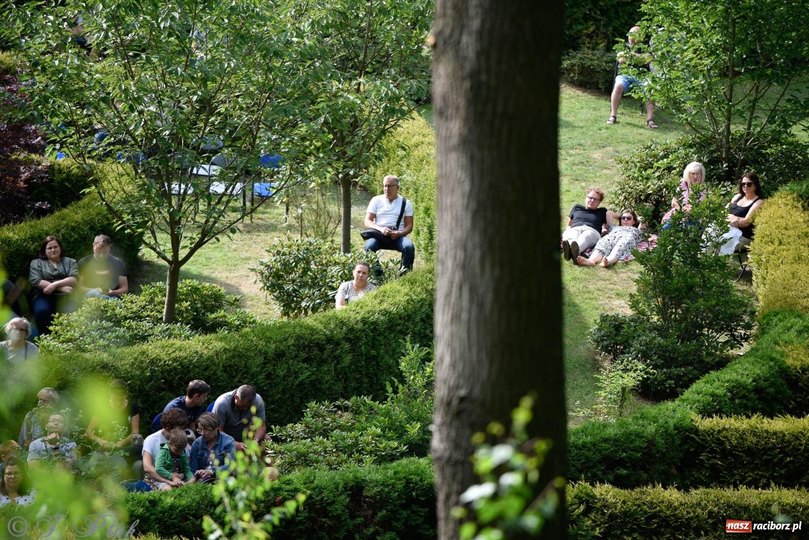 Zdjęcie w galerii na portalu naszraciborz.pl: Justyna Sasnal zaczarowała słuchaczy muzyką na harfie [FOTO i WIDEO] wiadomości z regionu