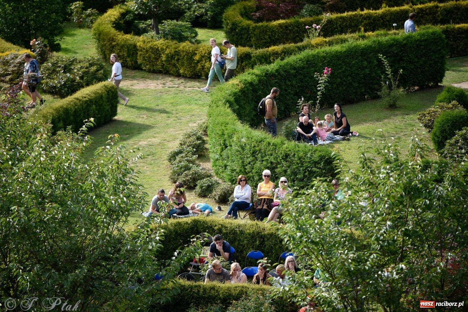 Zdjęcie w galerii na portalu naszraciborz.pl: Justyna Sasnal zaczarowała słuchaczy muzyką na harfie [FOTO i WIDEO] wiadomości z regionu