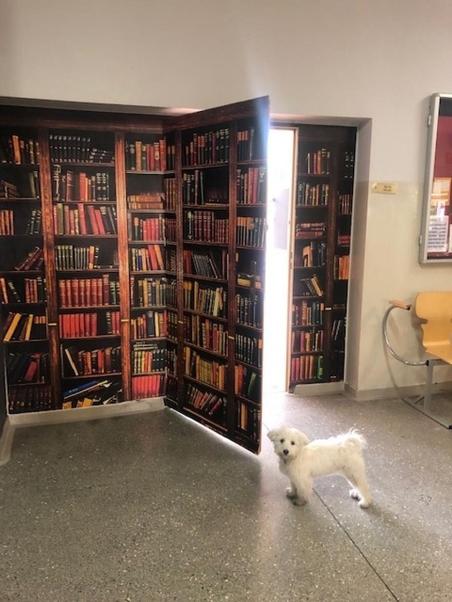 Zdjęcie w galerii na portalu naszraciborz.pl: Kosmicznie nowoczesne sale w SP 1 na Ostrogu wiadomości z regionu