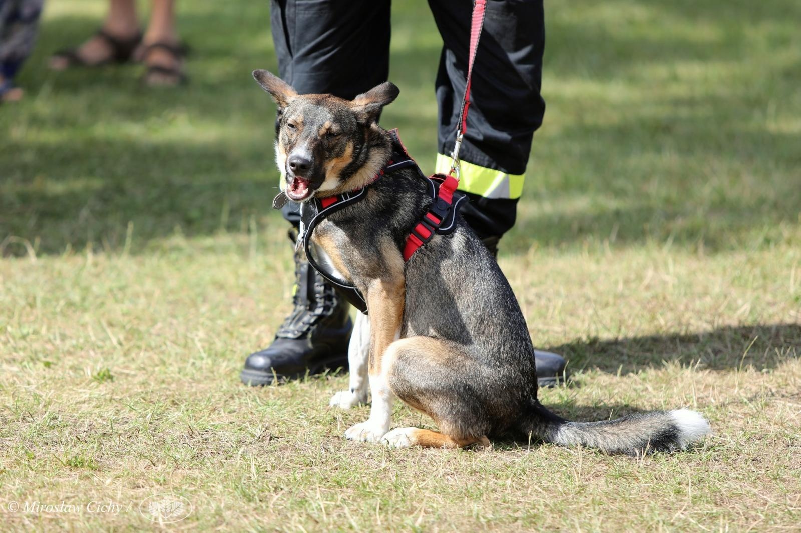 Zdjęcie w galerii na portalu naszraciborz.pl: Katowicki WFOŚiGW wspiera młodzieżowe drużyny pożarnicze [FOTO i WIDEO] wiadomości z regionu