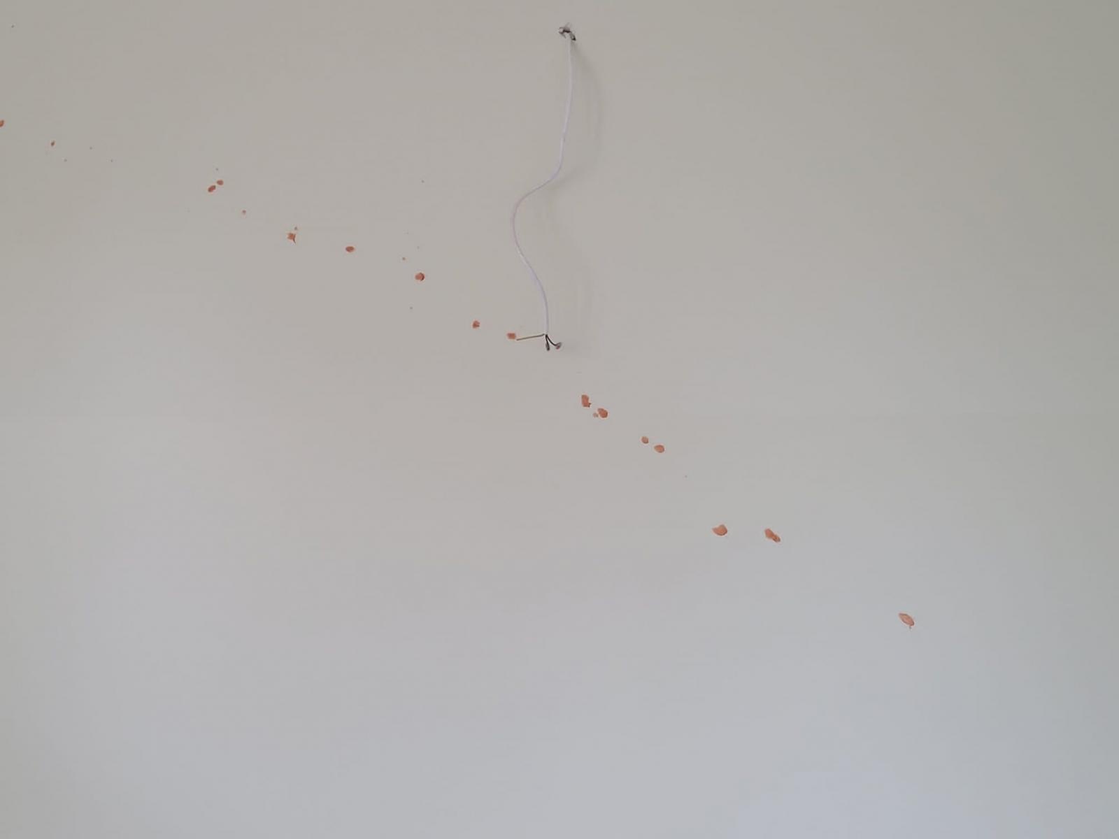 Zdjęcie w galerii na portalu naszraciborz.pl: Włamanie do szkoły w Rzuchowie. Wandale zostawili po sobie... keczup na ścianie wiadomości z regionu