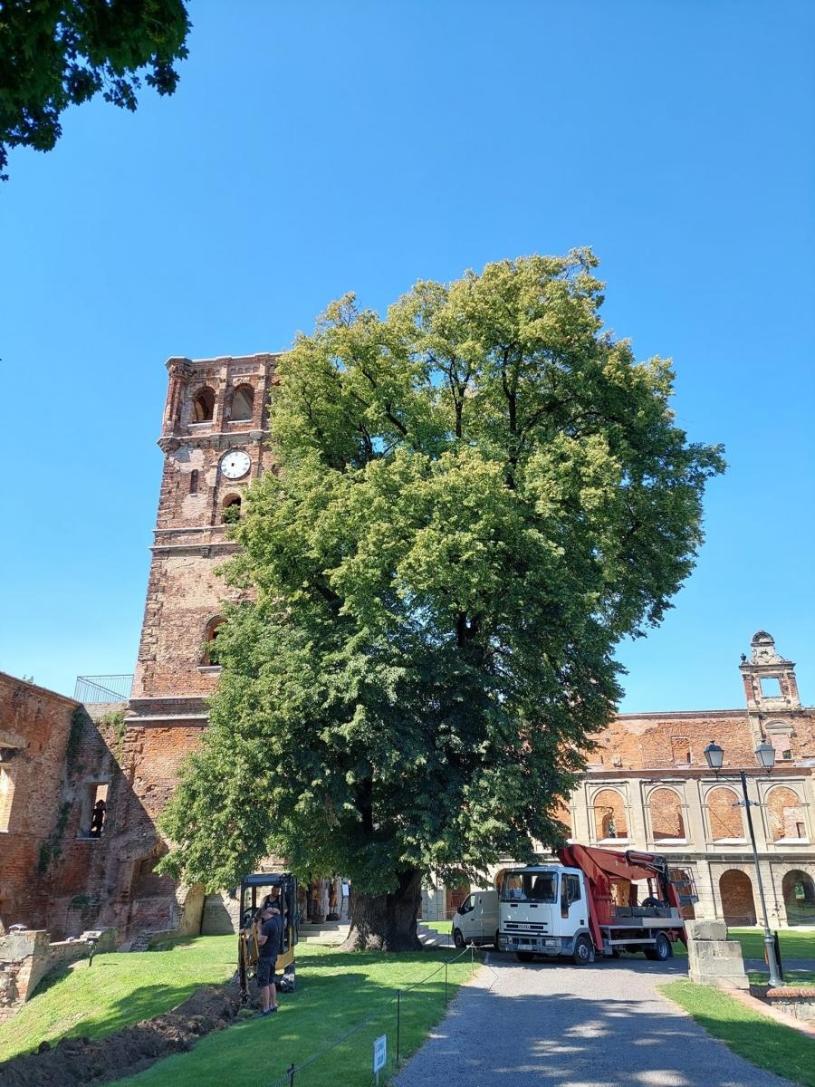 Zdjęcie w galerii na portalu naszraciborz.pl: Na wieżę tworkowskiego zamku wróciły zegary wiadomości z regionu