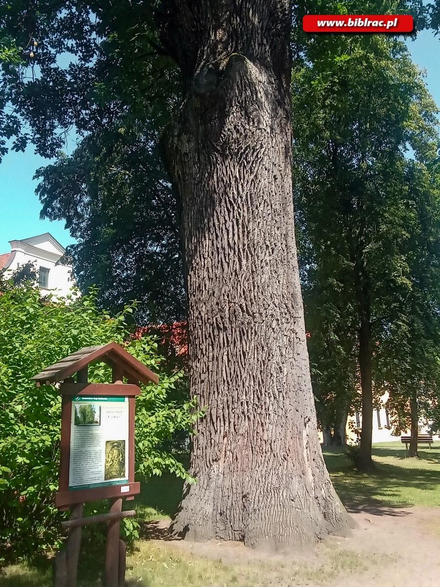 Zdjęcie w galerii na portalu naszraciborz.pl: Wakacje w powiecie w klasztornych murach wiadomości z regionu