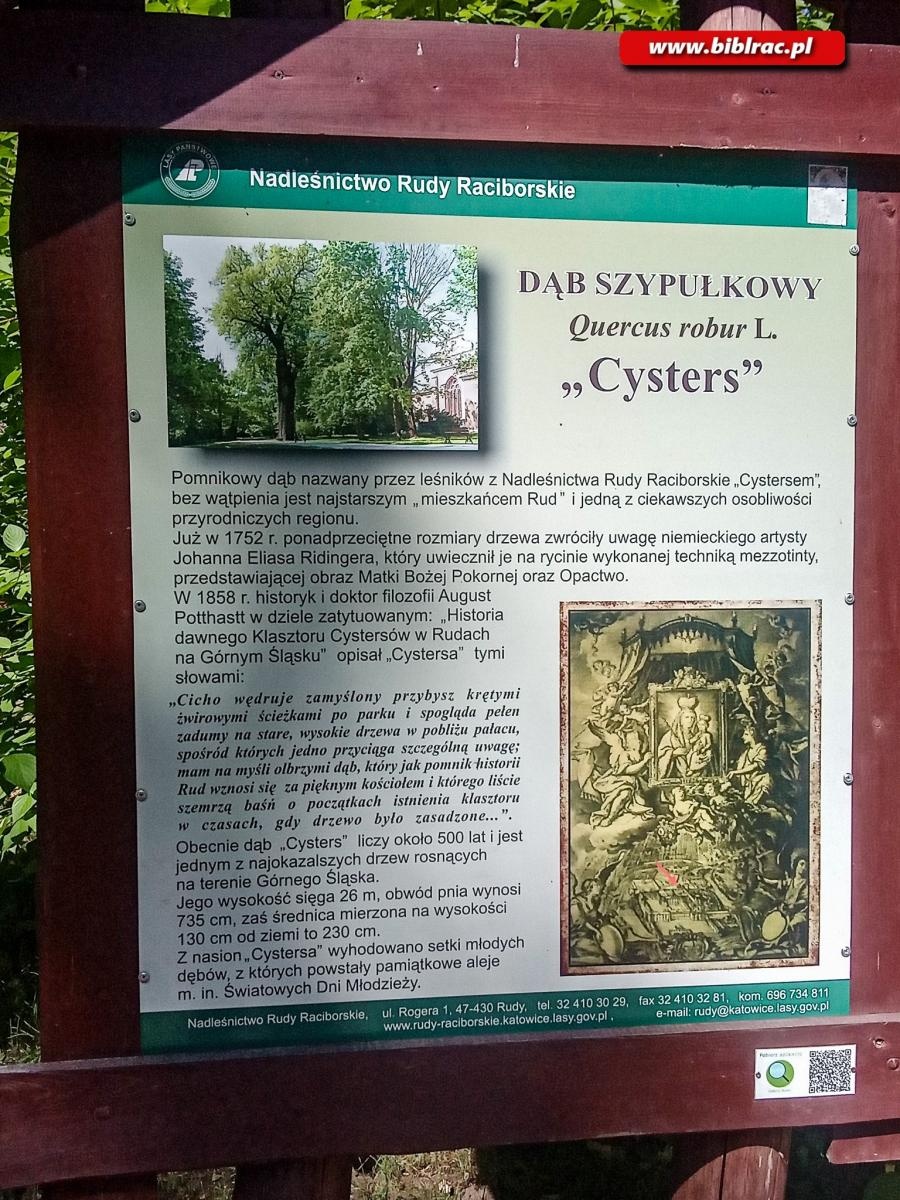 Zdjęcie w galerii na portalu naszraciborz.pl: Wakacje w powiecie w klasztornych murach wiadomości z regionu