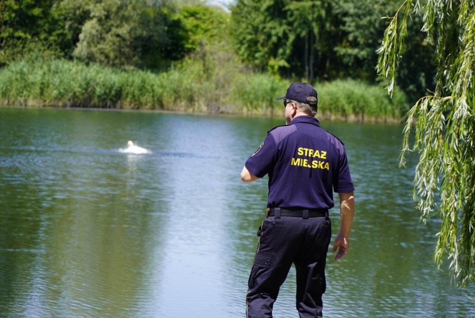 Zdjęcie w galerii na portalu naszraciborz.pl: Będzie więcej znaków zakazu i patroli na żwirowni wiadomości z regionu