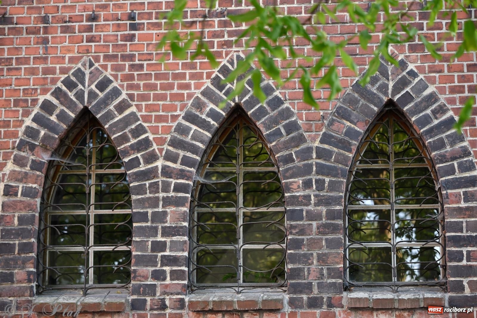 Zdjęcie w galerii na portalu naszraciborz.pl: Silesian Jazz Daughters zaśpiewały w ogródku Etiudy [FOTO i WIDEO] wiadomości z regionu